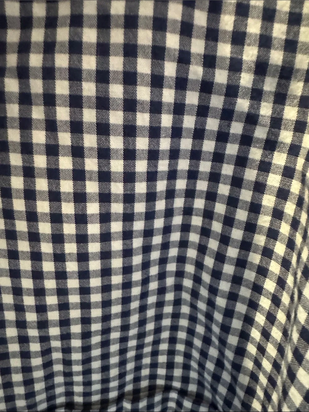 J. Crew Navy and White Gingham Button-Down Shirt